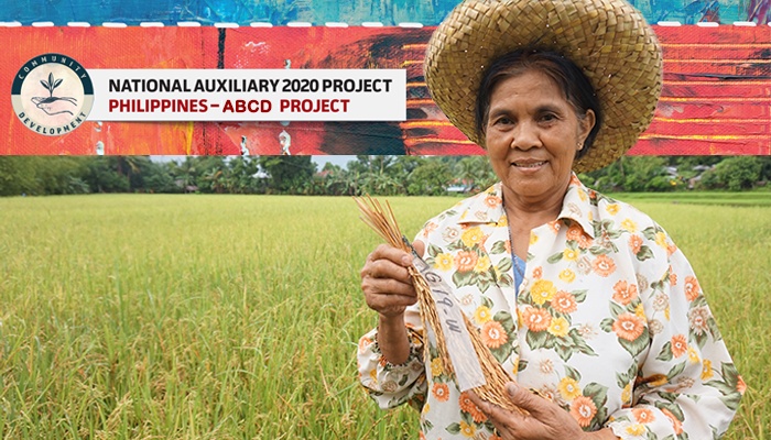 2020 National Auxiliary Project