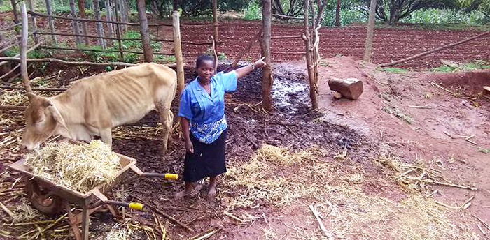 Integrated Food Security Program in Kenya