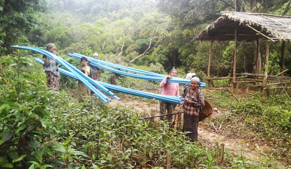 Women, men and children from the village all join in carrying the PVC pipes between their village, Yung Let Wa, and the mountain spring 2.4 km away.