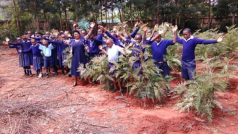 School greening Kenya