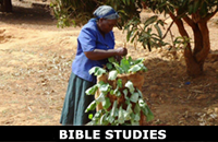 2015 Lent Bible studies