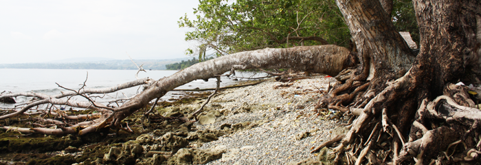  ABM is supporting the Anglican Church of Melanesia to address the effects of climate change and natural disasters in the Solomon Islands. © ABM/Liz Baker 2013