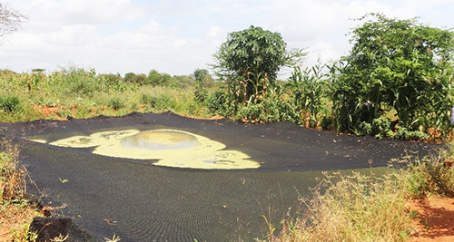 Joseph Kituku's farm pond. © ADSE, 2019.