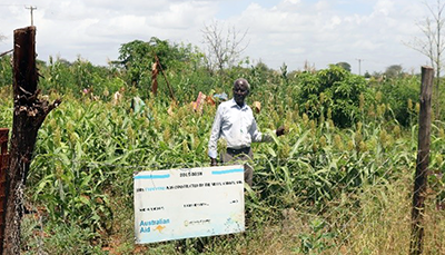Mr Joseph Kituku with the sorghum he has planted as demo plot. © ADSE, 2019.