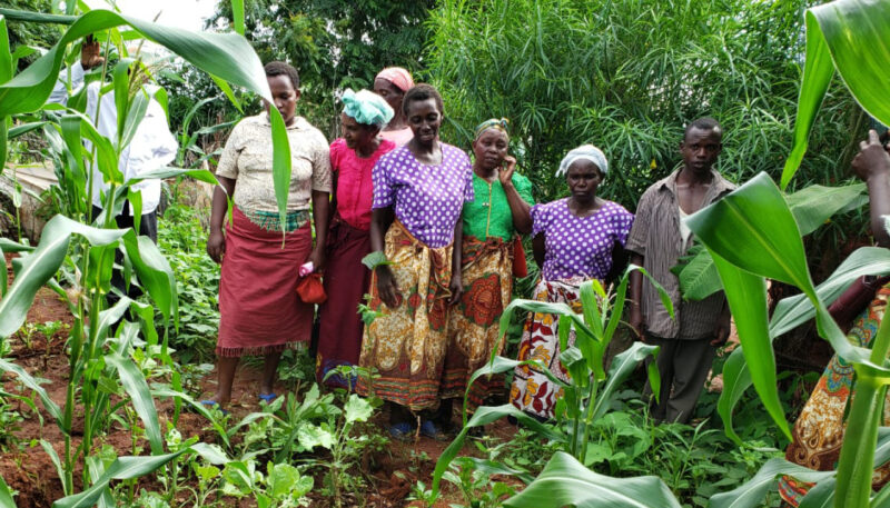Mwikali Mutua and members of the self-help group she started, monitor the kitchen garden of one of their members