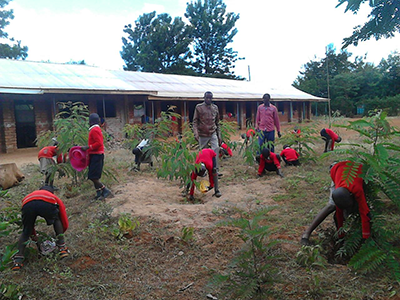 ACK St. Marks Kavuthu pupils planting trees