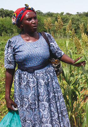 Locals in Makakya benefit from their own crops and loans they have used to change their lives. © Julianne Stewart/ABM, 2016.