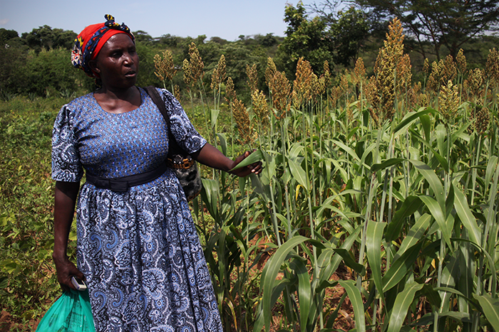 Rose with her crops in Makakya