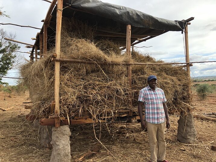 Titus Muinde with stored fodder