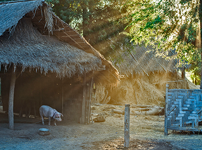 Kyo Kyar village at sunset