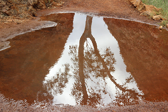 Rungutjirpa (Simpson's Gap), Northern Territory. © Celia Kemp/ABM 2016.