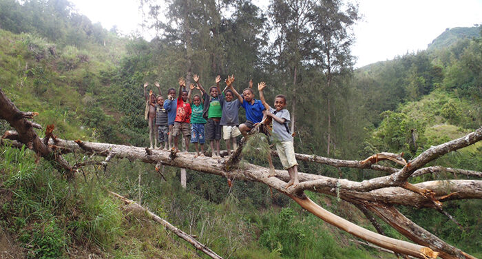 Kids on a fallen tree