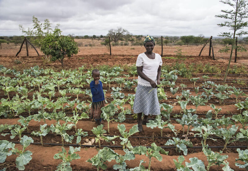 In Kenya, replenishing depleted soil with irrigation and composting means that harvests are improved and sustainable. Credit: Ivy Wang