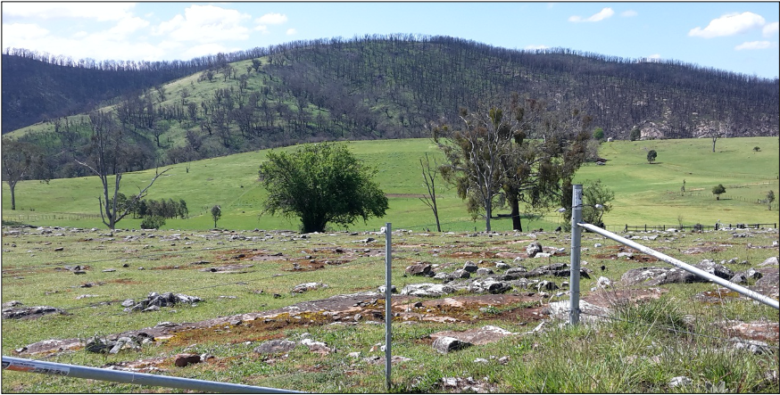 New fencing can be seen in both of these photos taken after recovery from the bushfires at Buchan.