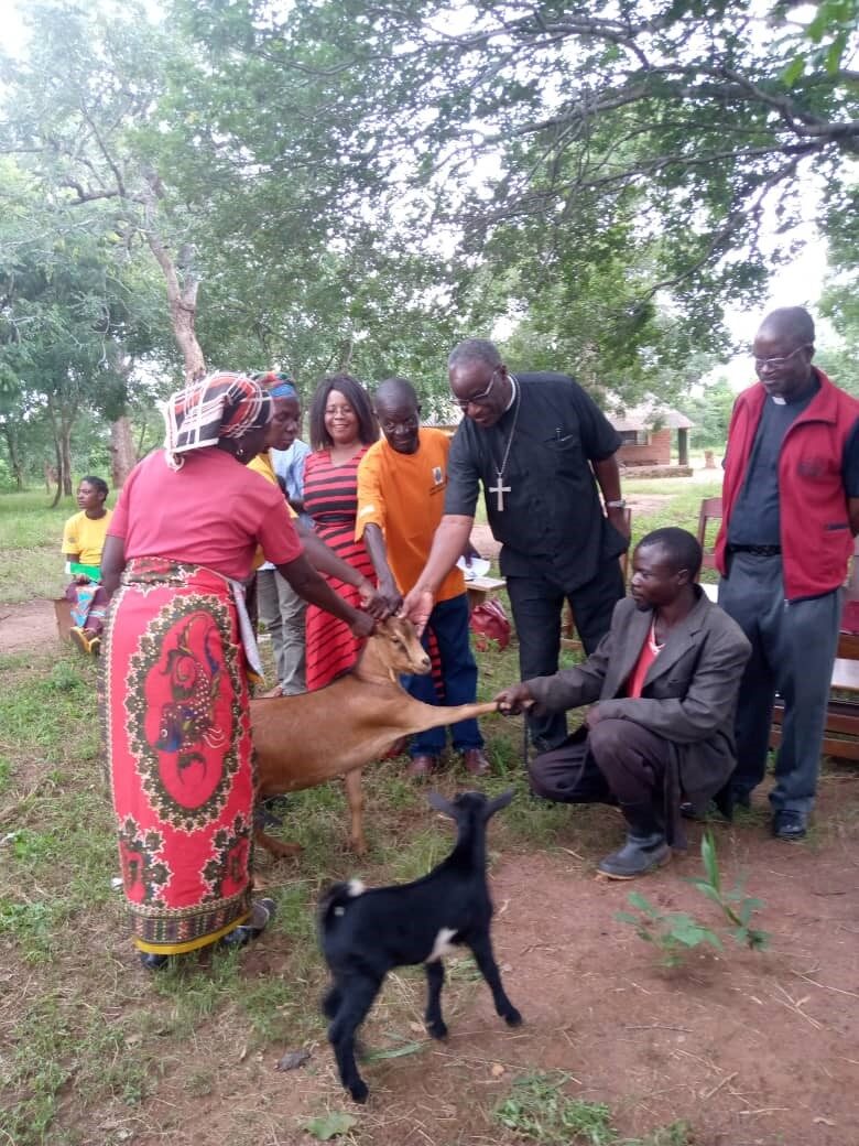 Women in Eastern Zambia experienced increases in their livelihoods due to the program implemented by ABM’s partner, ZACOP © ZACOP. Used with permission