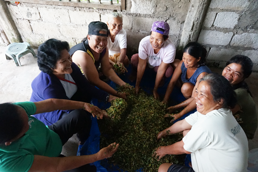Community members in Balidbid, Santa Fe, Cebu, mixing organic feeds for their livestock. © IFI-VIMROD, used with permission.