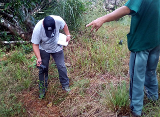 IMO conducts validation checks on tree plantings