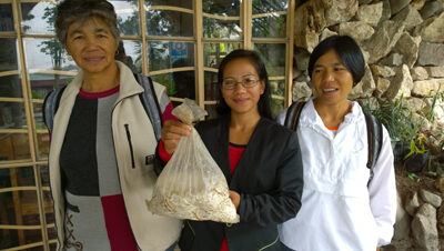 Mushroom growers Jonia Dady-as, Soledad Toyoken and Marly Deppas.
