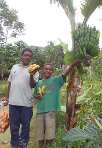 Local clergyman and young boy showing off a new crop of bananas that grows quickly and has a higher yield.