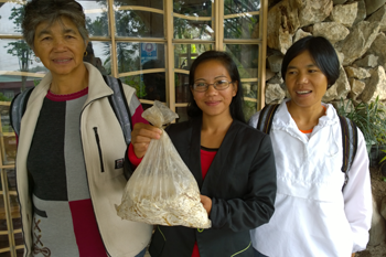  The organic mushrooms are creating income for local women. © ABM/Julianne Stewart, 2014.