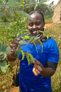 Jennifer Mutua, the ADSE Projects Officer. © Julianne Stewart/ABM, 2015