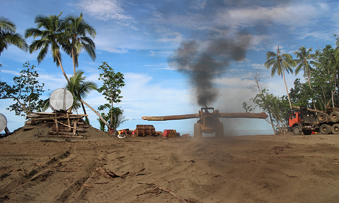 Heavy logging activities on San Cristobel, Solomon Islands