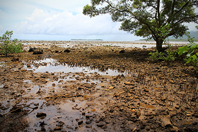 Coastal erosion in Vanuatu