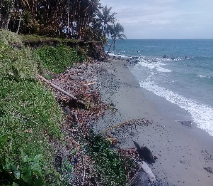 Coastal erosion in Honiara. © Liz Baker/ABM, 2013.